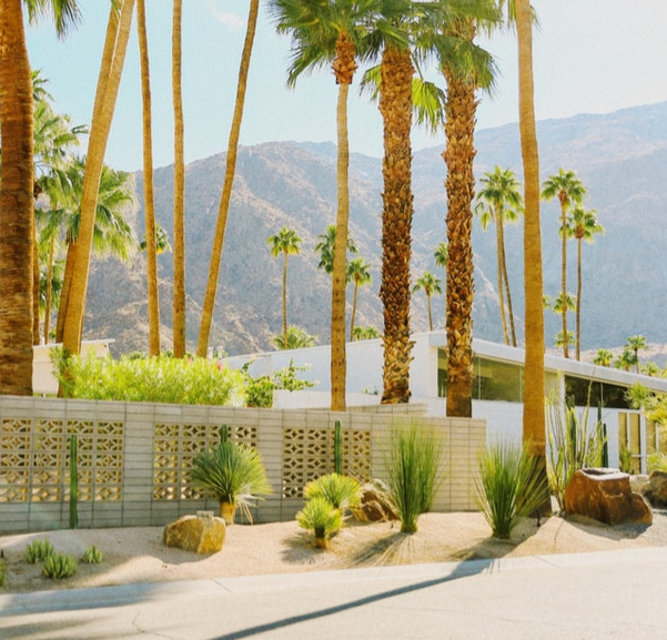 free stock photo from unsplash