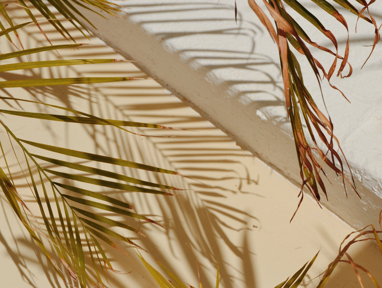 free stock photo from unsplash