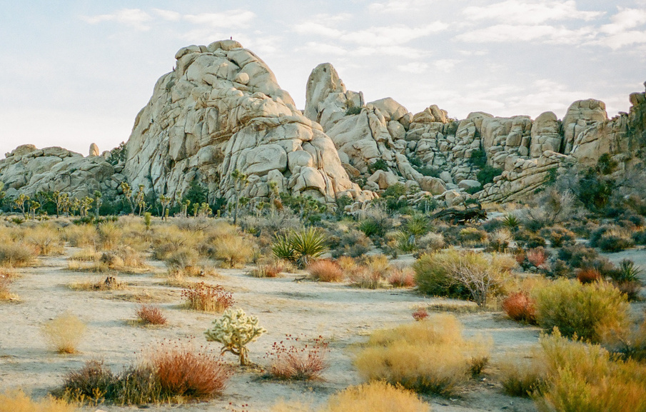 free stock photo from unsplash