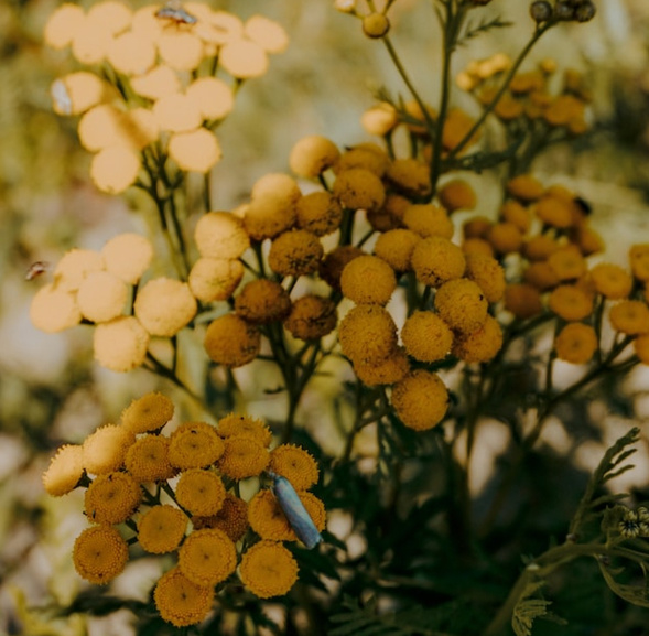 free stock photo from unsplash