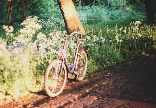 free stock photo from unsplash