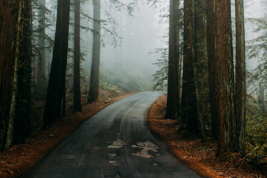 free stock photo from unsplash