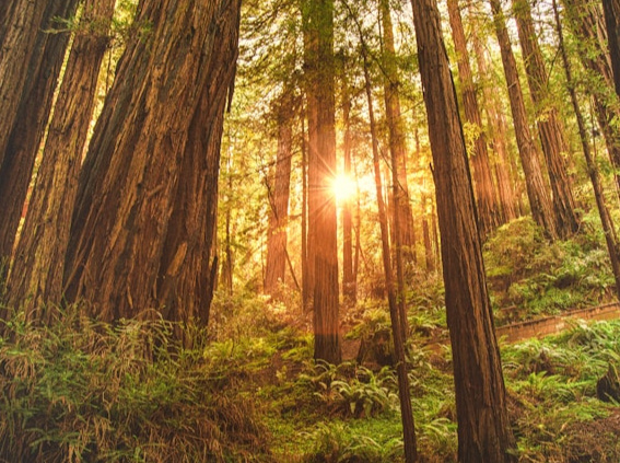 free stock photo from unsplash