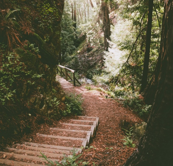 free stock photo from unsplash