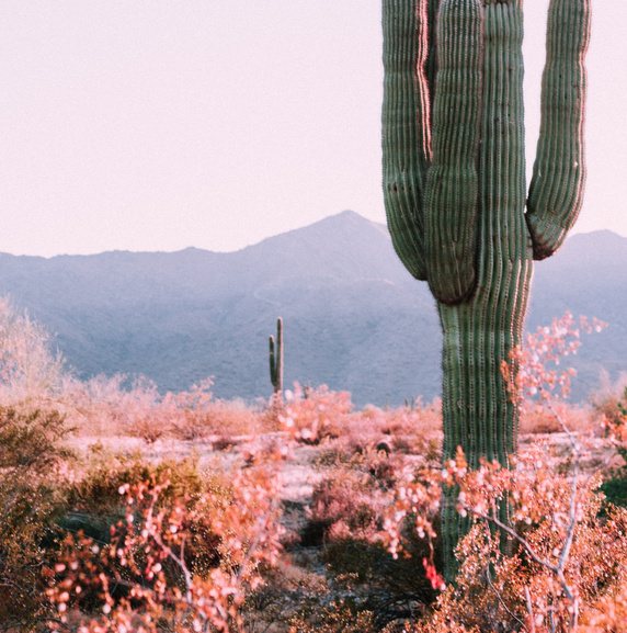 free stock photo from unsplash