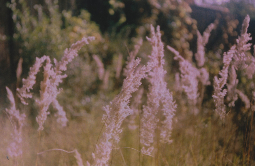 free stock photo from unsplash