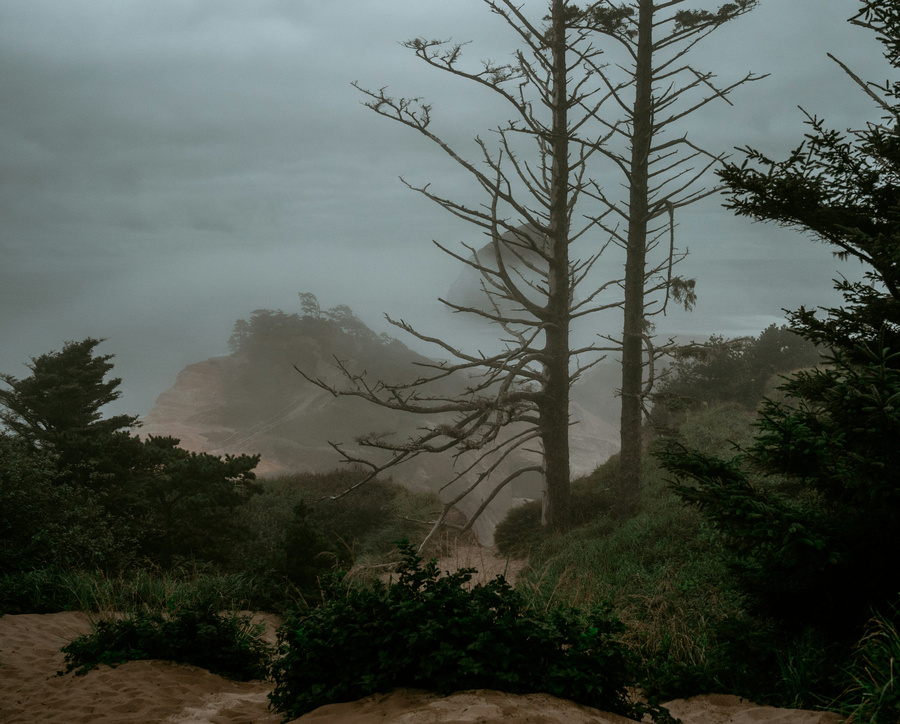 free stock photo from unsplash