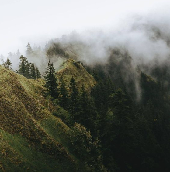 free stock photo from unsplash