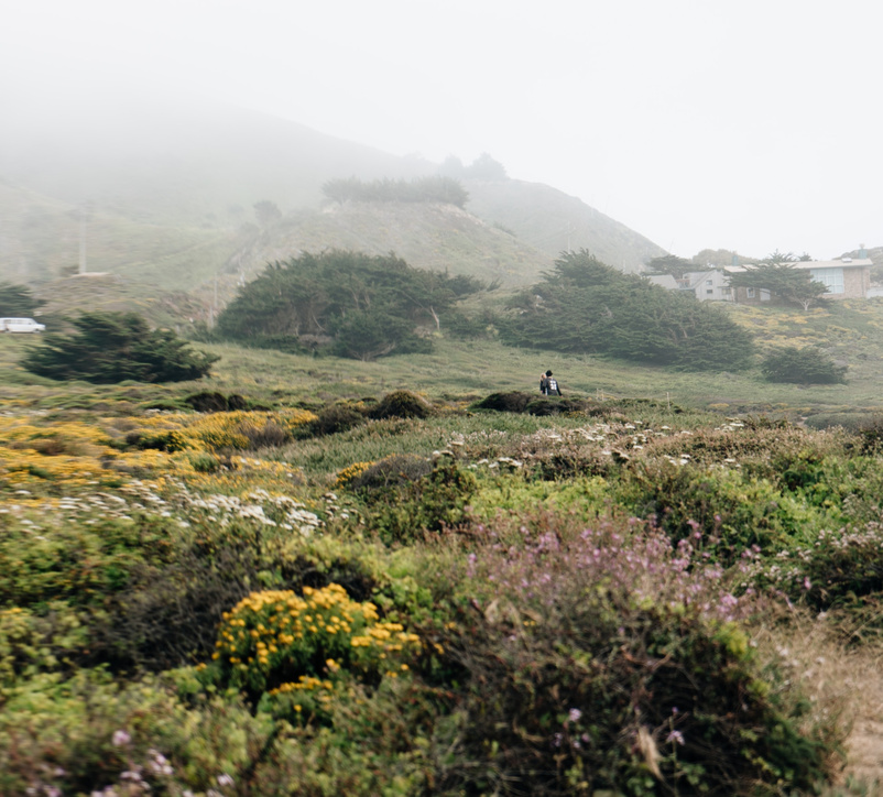 free stock photo from unsplash